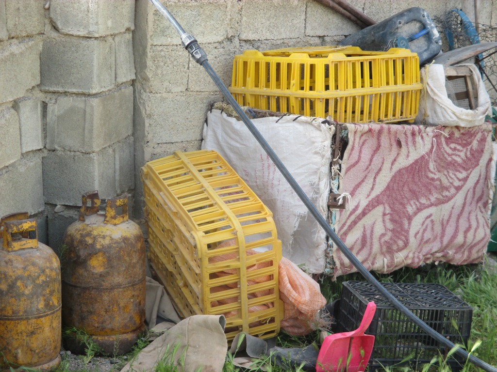 خانواده عشایری,chaharfasl.ir