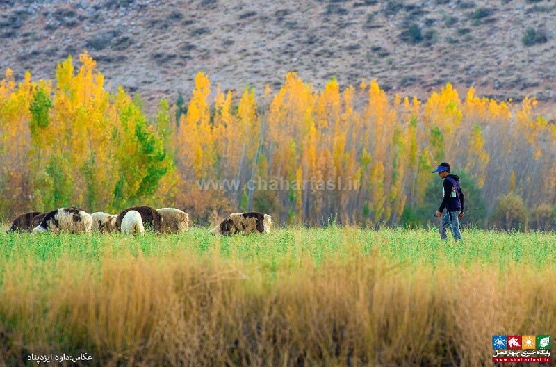 نگاهی متفاوت به طبیعت از دریچه دوربین عکاس کهگیلویه وبویراحمدی! 30