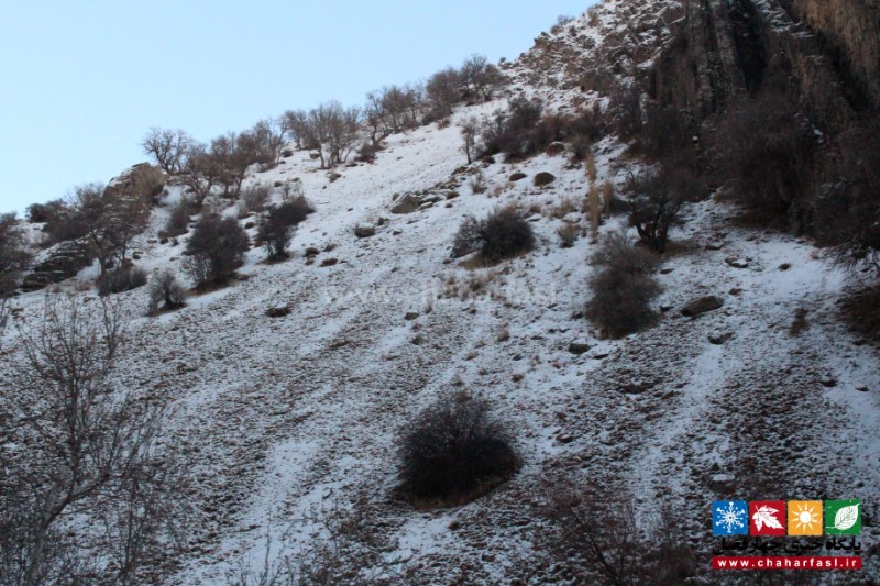 طبیعت سحرانگیز کهگیلویه وبویراحمد با چاشنی سفیدی زمستان+ تصاویر 22