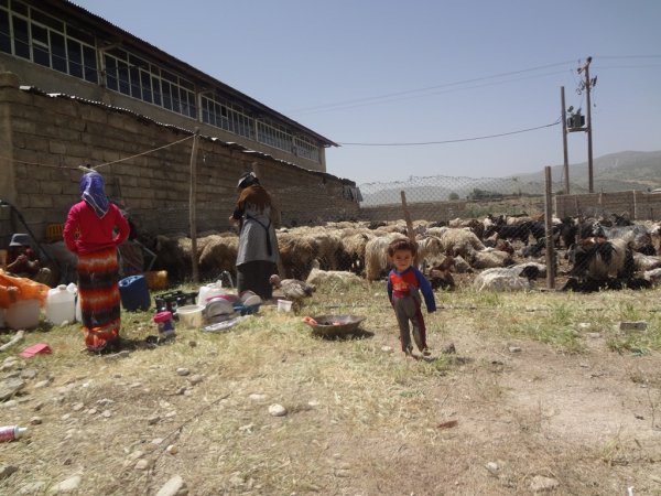 دلجویی از خانواده فقرا,chaharfasl.ir