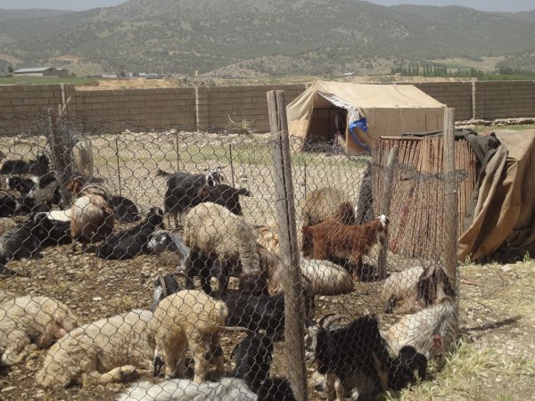 دلجویی از خانواده فقرا,chaharfasl.ir