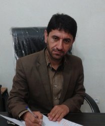 ستوده نیا