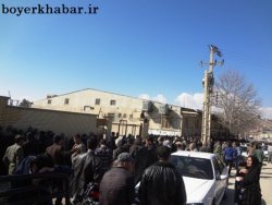  از حذف دو قلم کالا در سبد خانوار شهر یاسوج تا تشکیل صف های طولانی+تصاویر 