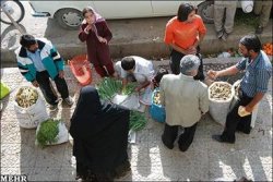  قاچاق بیلهر به سایر استان ها