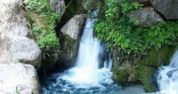 طبیعت شهر باشت به روایت تصویر