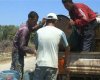 دستگیری باند ۸ نفره قاچاق نفت سفید در کهگیلویه وبویراحمد