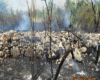 
معضل نبود تجهیزات و آغاز آتش سوزی های سریالی در جنگل ها و مراتع شهرستان دنا+ تصاویر
