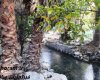 خزان در نگین سبز چرام/تصاویری از باغ چشمه بلقیس که تاکنون ندیده اید 