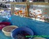 از قیمت ماهی قرمز تا سفره های هفت سین در بازار  یاسوج+تصاویر