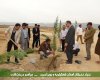  درخت کاری نخبگان کهگیلویه و بویراحمد+تصاویر