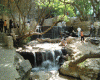  باقری :آبشار یاسوج با بازدید 14 هزار گردشگر رتبه اول استان را دارد
